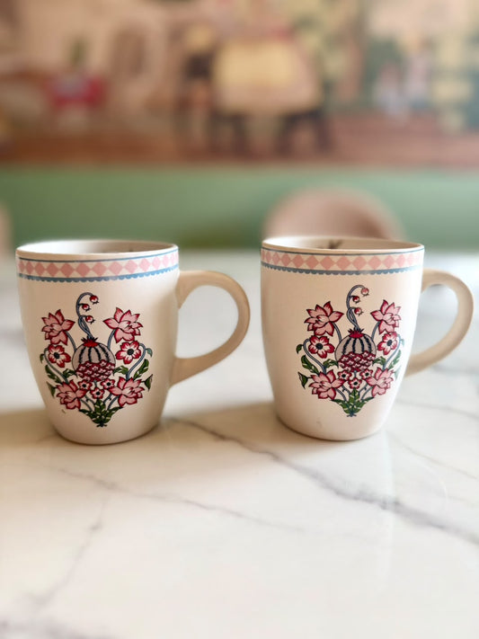Anar Bagh Mugs